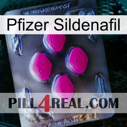 Pfizer Sildenafil 02